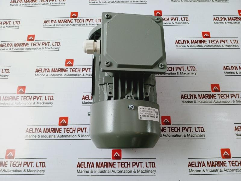 Ye3l63m2-2 Three-phase Induction Motor 0.25kw 220-240/380-415v 50hz