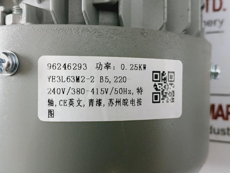 Ye3l63m2-2 Three-phase Induction Motor 0.25kw 220-240/380-415v 50hz