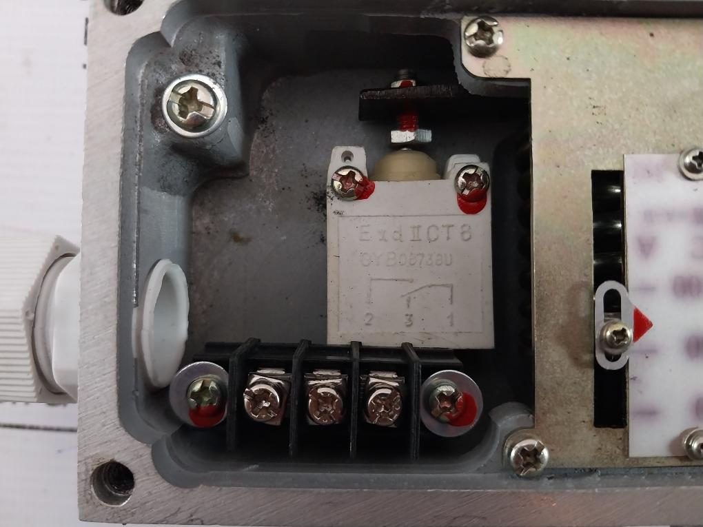 Yichang Boda Automation St100 Dkcmg Temperature Controller 220V 3A