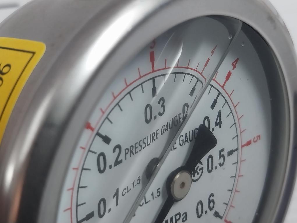 Yjn Pressure Gauge 0-6 Bar