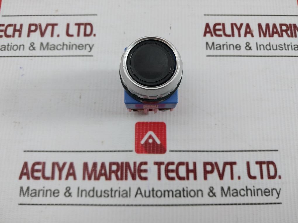 Yong Sung Push Button Switch 600V 10A Part No Ysap13-11