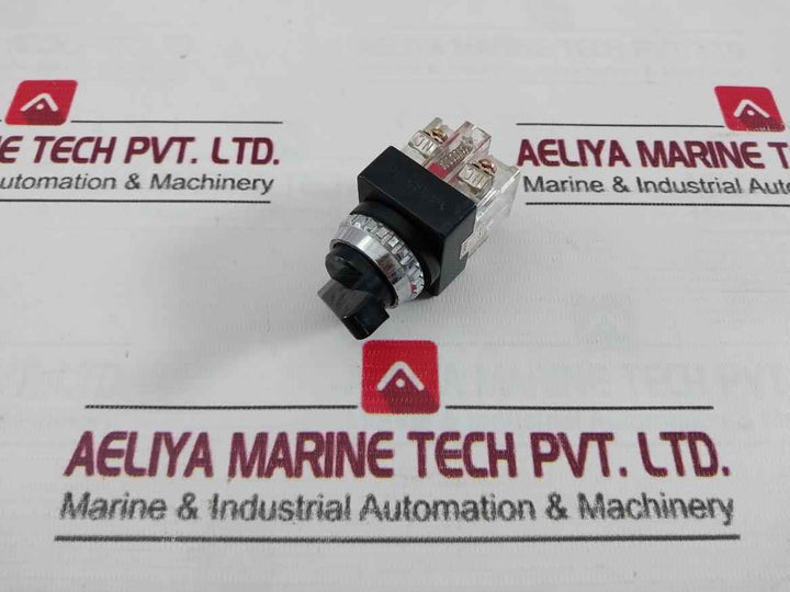 Yong Sung Ys R2-211 Selector Switch 250V 6A