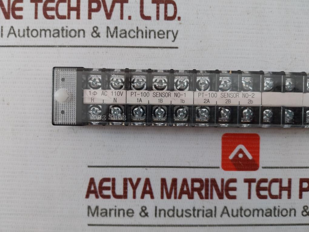 Yong Sung Ysft020-15P Screw-clamp Terminals Block Pt-100 Sensor 250V 20A 600Vmax