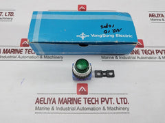 Yongsung-Electric-Pilot-Lamp-Yspl3-024A-208708-1