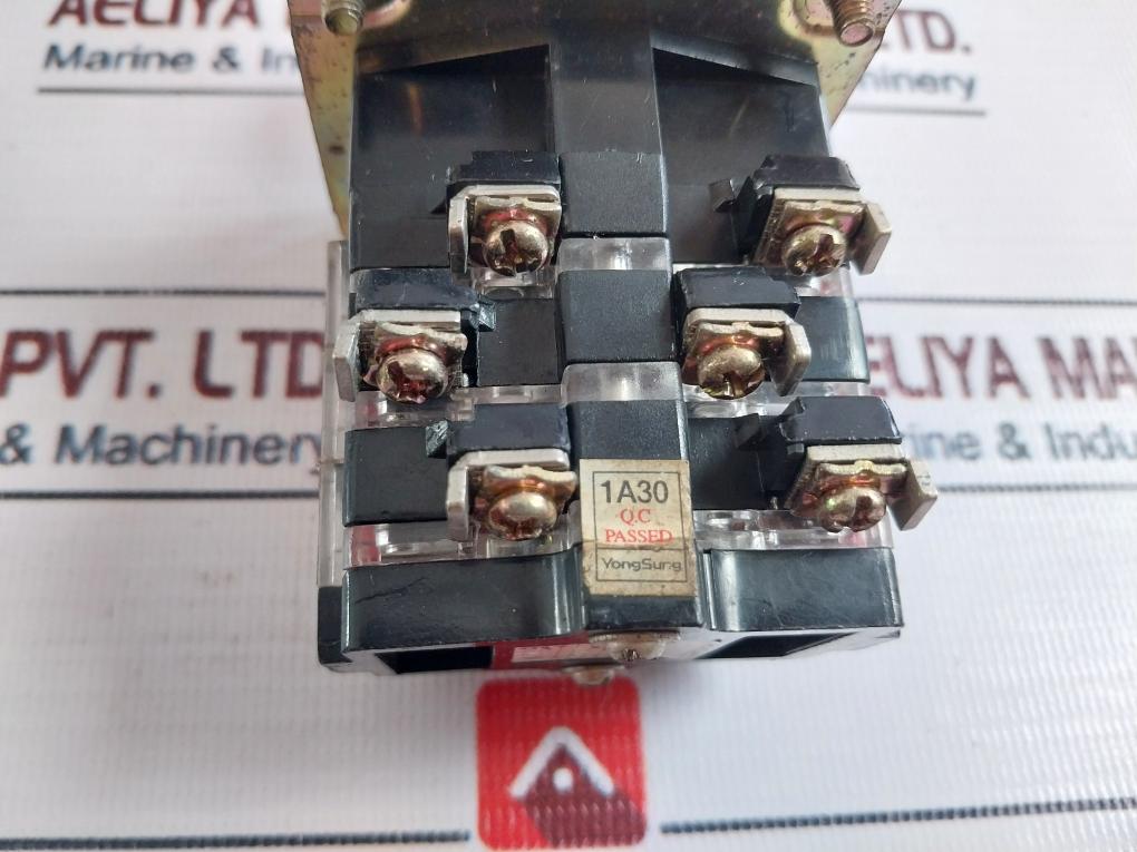 Yongsung 8406 Cam Switch 250vac 10a