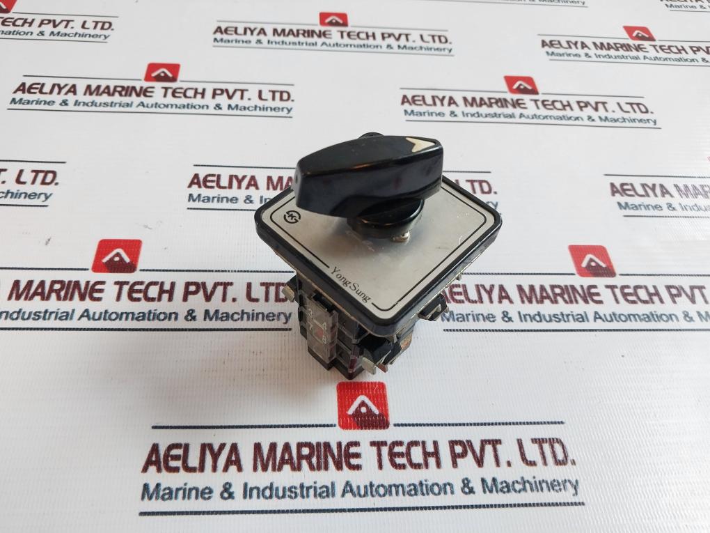 Yongsung 8406 Cam Switch 250vac 10a