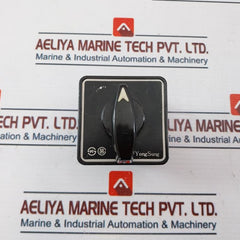 Yongsung C-60 Cam Switch 10A 250Vac