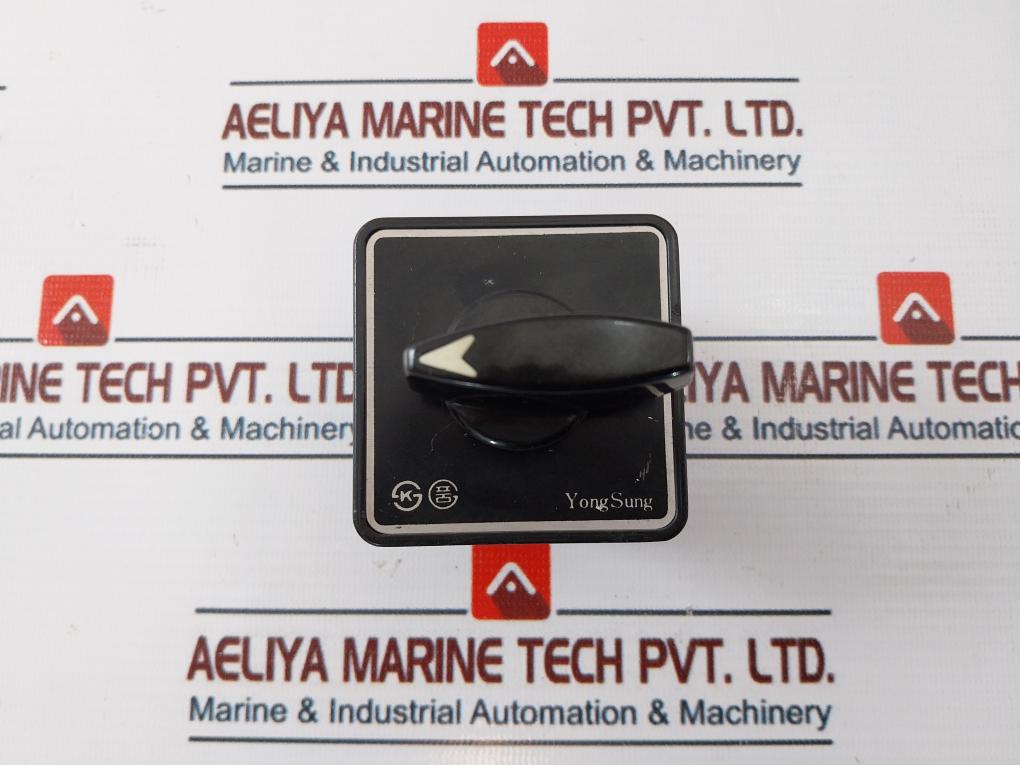 Yongsung C-60 Cam Switch Ac220V, 10A