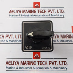 Yongsung C-60 Cam Switch Ac220V, 10A