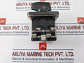 Yongsung C-60 Cam Switch Ac220V, 10A