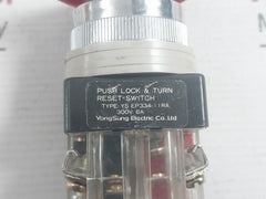 Yongsung Electric 300V 6A Push Lock & Turn Reset Switch Ys Ep334-11Ra