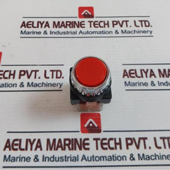 Yongsung Ys P13-11 Push Button Switch 250V