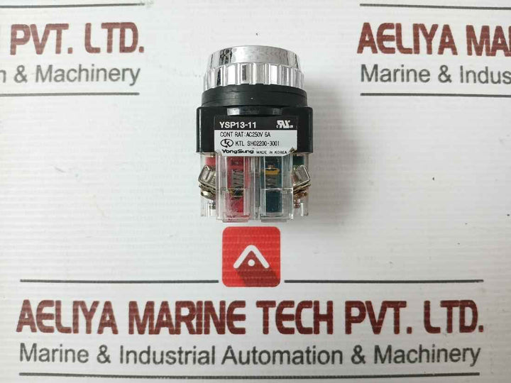 Yongsung Ysp13-11 250Vac 6A Push Button Switch With New Condition