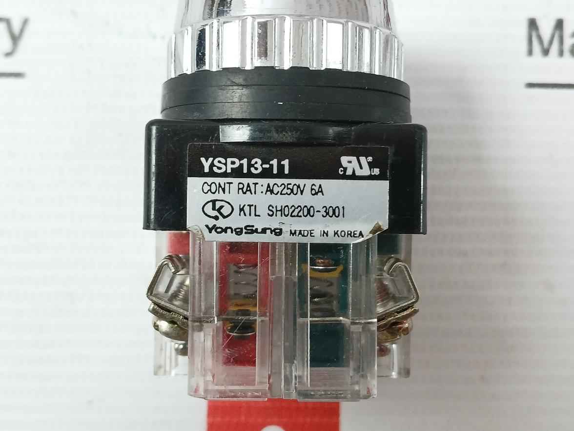 Yongsung Ysp13-11 250Vac 6A Push Button Switch With New Condition