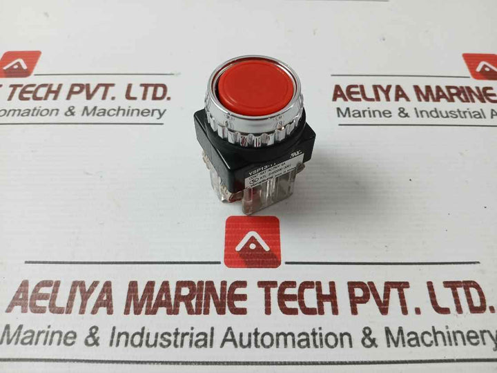 Yongsung Ysp13-11 250Vac 6A Push Button Switch With New Condition