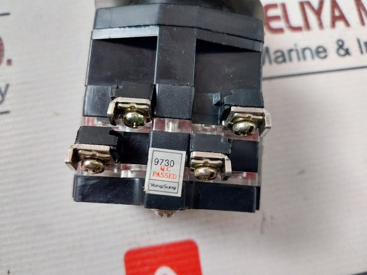 Yongseong Electric 10A 250Vac Rotary Cam Switch 3-3-1777