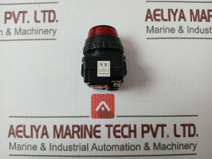 Yongsung Yspl 3-02B Indicator/Pilot Lamp 24V 2W