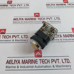 Yoshida Electric Ybn30-f Heavy Duty Control Unit 250V