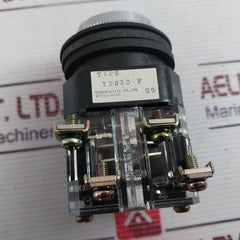 Yoshida Electric Ybn30-f Heavy Duty Control Unit 250V