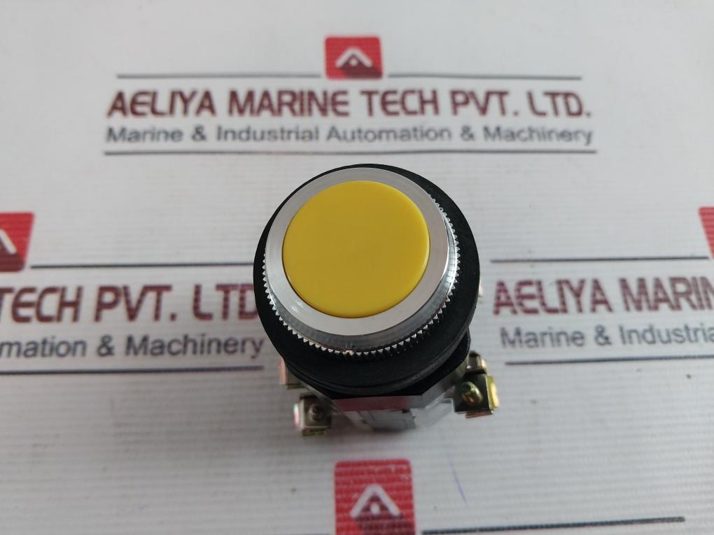 Yoshida Electric Ybn30-f Heavy Duty Control Unit 250V