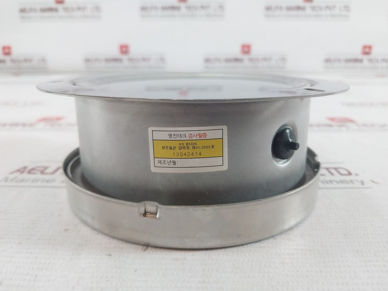 Youngjin Bourdon Tube Pressure Gauge 0-100 Bar 13042414 100Mm