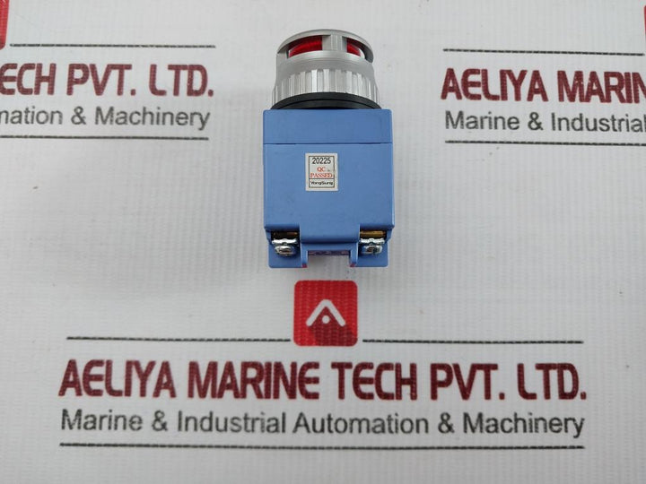 Ysnpbl3-024A Yongsung Illuminated Push Button 250V 6A