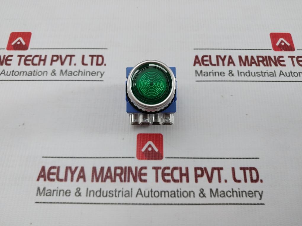 Ysnpbl3-024A Yongsung Push Button Switch Green Ac 250V 6A