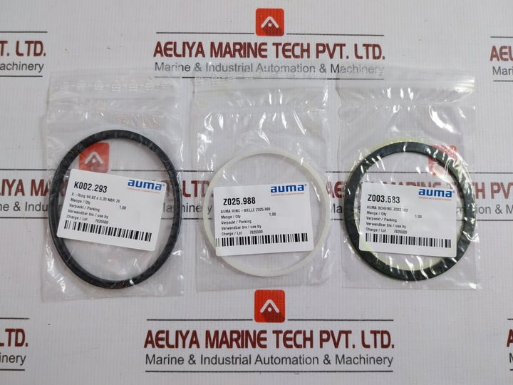 Z110.277 Complete Seal & O-ring Repair Kit Auma