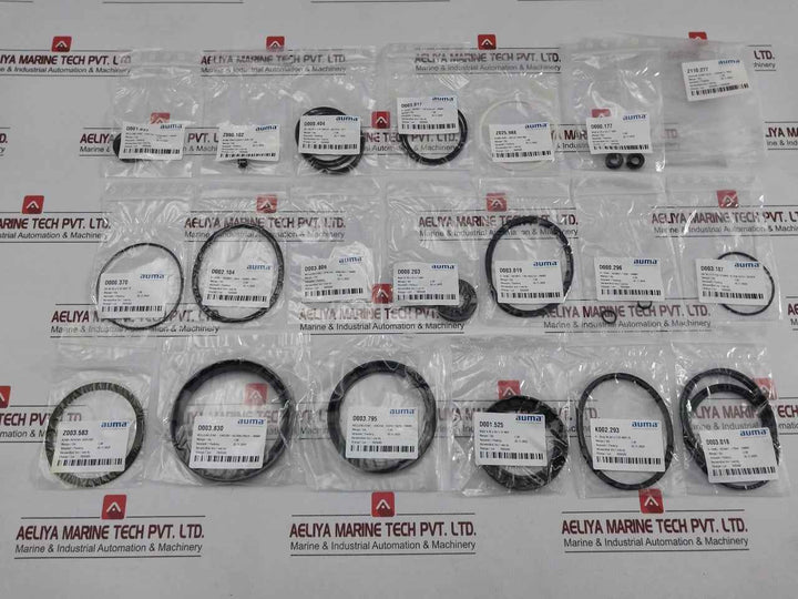 Z110.277 Seal & O-ring Repair Kit Auma