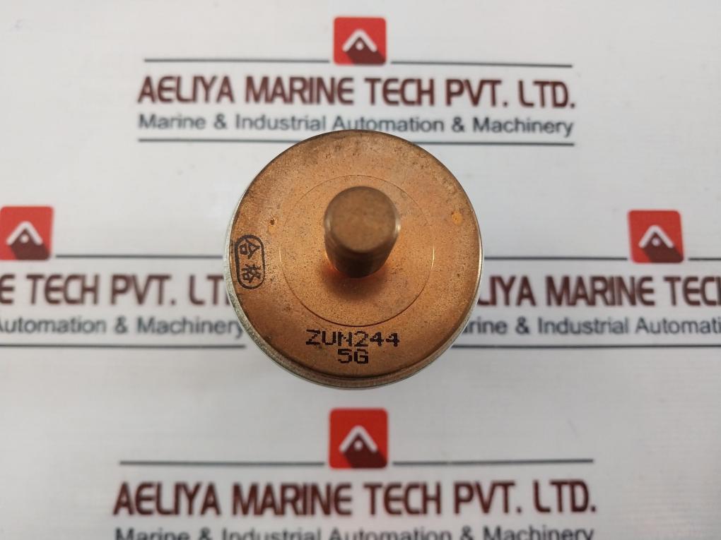 ZUN244 5G Vacuum Interrupter
