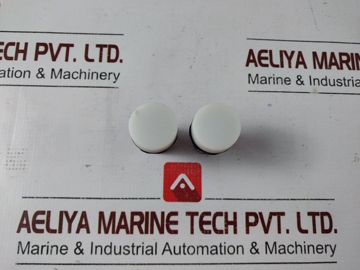 Abb 1sfa 619402r100 pilot head white light