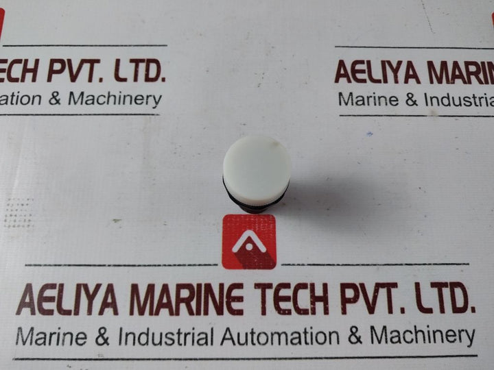 Abb 1sfa 619402r100 pilot head white light