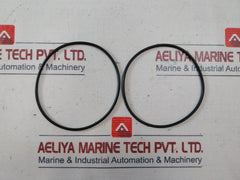 Aker Ddm-1000-ac-2m Repair Kit For Nexgen Kelly Valve, Mfg P/n Ba0068344