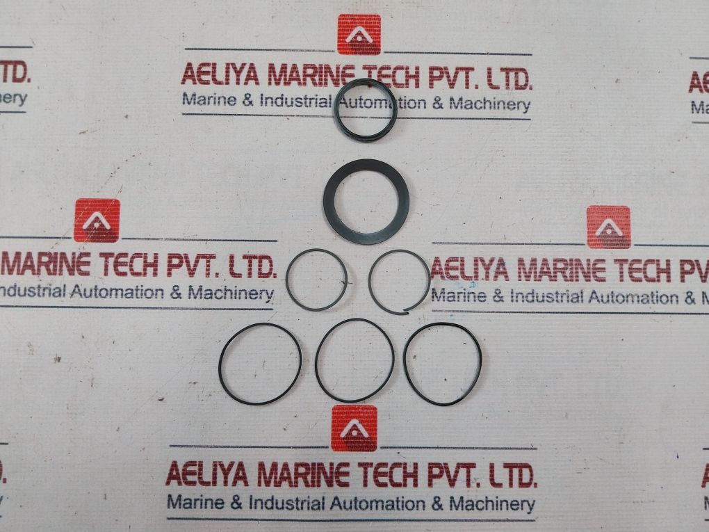 Aker Ddm-1000-ac-2m Repair Kit For Nexgen Kelly Valve, Mfg P/n Ba0068344