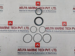 Aker Ddm-1000-ac-2m Repair Kit For Nexgen Kelly Valve, Mfg P/n Ba0068344
