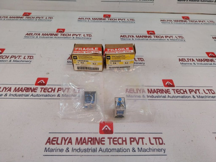 Allen-bradley 700-hc14Z24 Relay And Socket 24 Vdc