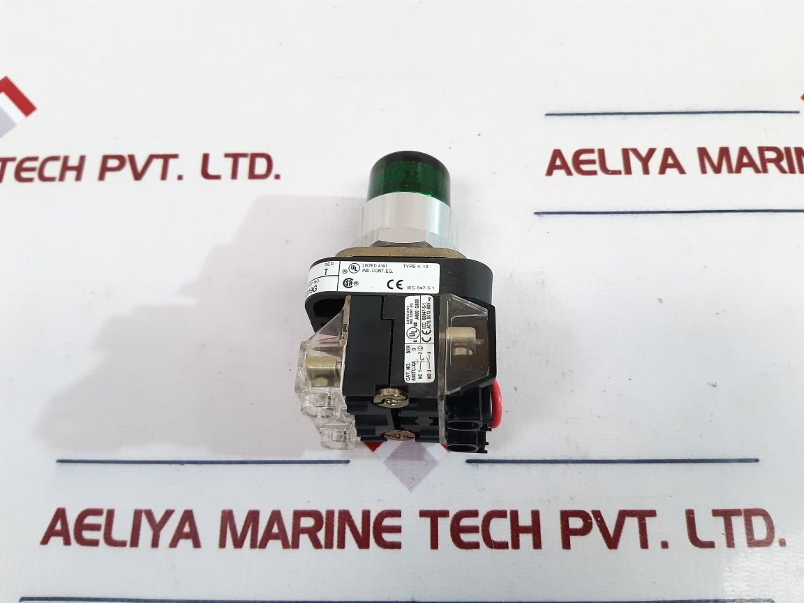 Allen-bradley 800T-qth24G Pilot Light