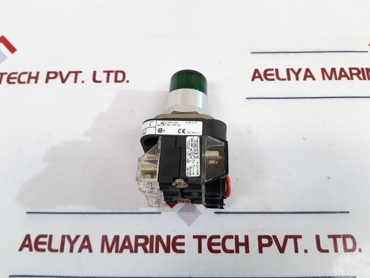 Allen-bradley 800T-qth24G Pilot Light