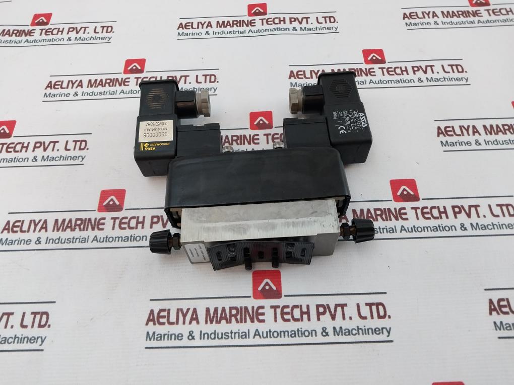 Asco/Joucomatic 346 00 173 Double Solenoid Valve 110V Dc