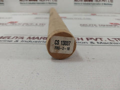 Auburn Frs-2-18 Gas Spring Flame Rod/probe 14x28mm W/valve Pn3258