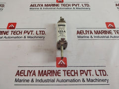 Bogenschutz Nh 1 8001 Fuse 125A 500V Ac