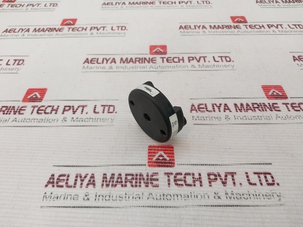 Bourdon Haenni Flex Top 2201 0002 Temperature Transmitter