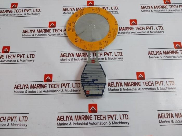 Bs&B Avv Rupture Disk 316.Tfe.316 3 Inche