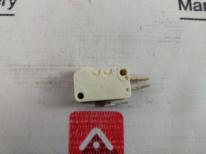 Burgess G3M3T1Rul Micro Switch 250V~16A