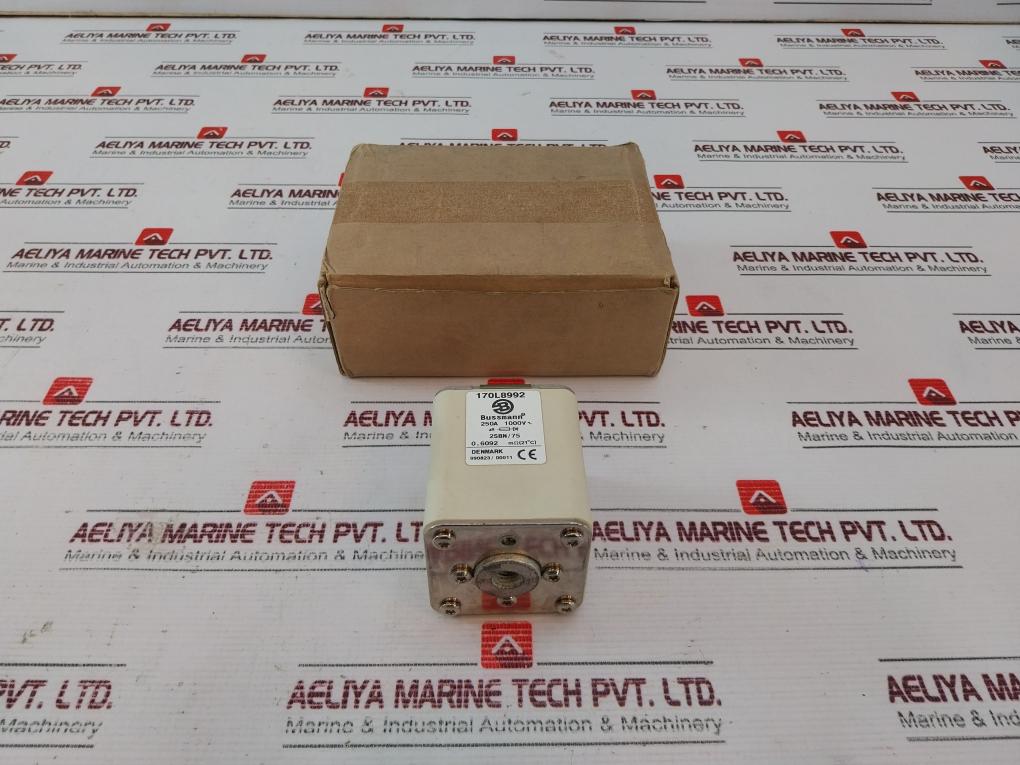 Bussmann 170 L 8992 Fuse 250A 1000V