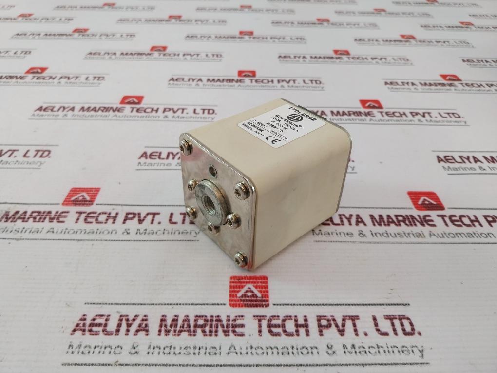 Bussmann 170 L 8992 Fuse 250A 1000V