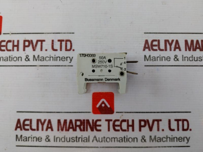 Bussmann 170H0069 Fuse 250V 50A Msw170-1S