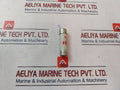 Bussmann Fwp-3A14Fa Fuse 3Amp 700V
