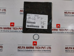 Cameron 2091003-24-99 3 Ksi Pilot Normally Closed Assembly Valve Repair Kit