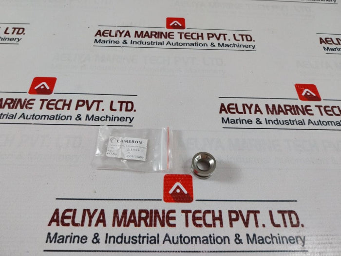 Cameron 2185818-13 Repair Valve